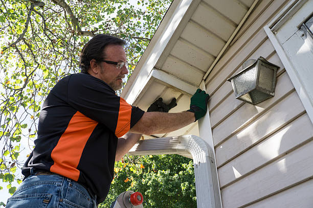 Best Fiber Cement Siding Installation  in Waterville, OH